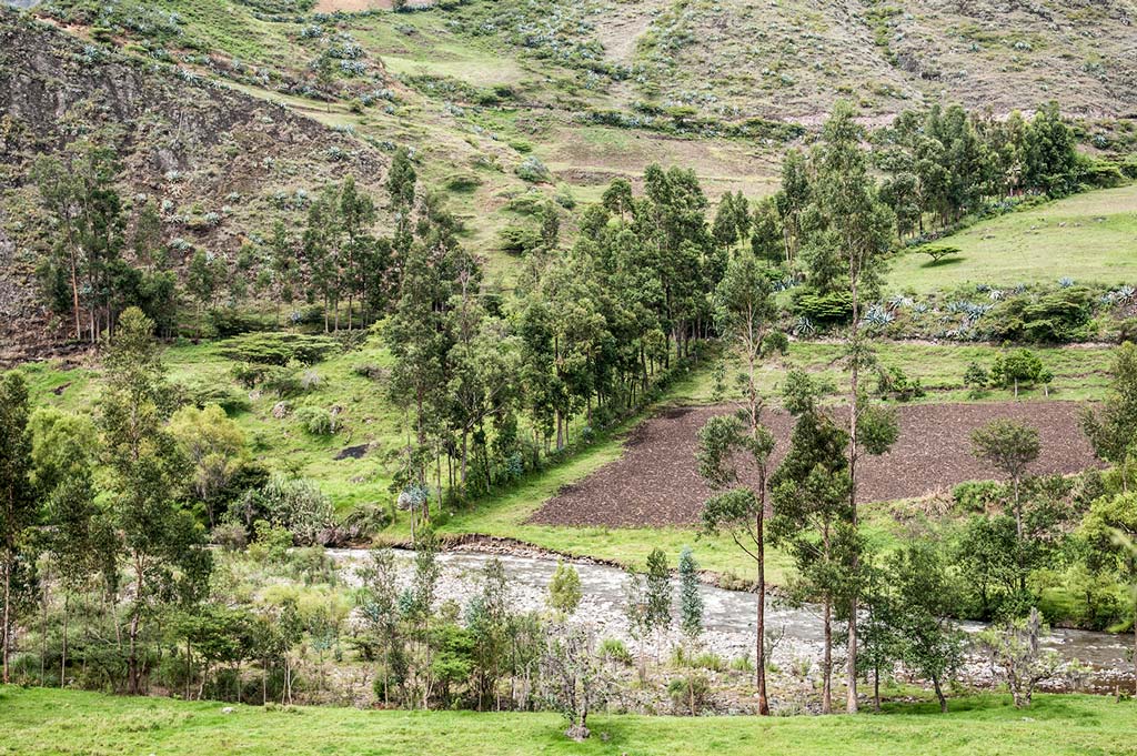 foto2-huancabamba